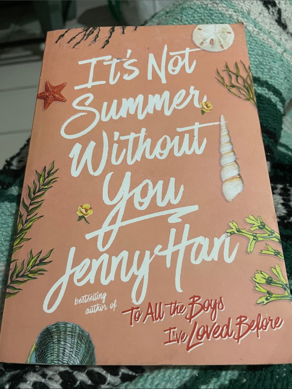 It's Not Summer Without You & We’ll Always Have Summer(both books) by Jenny Han